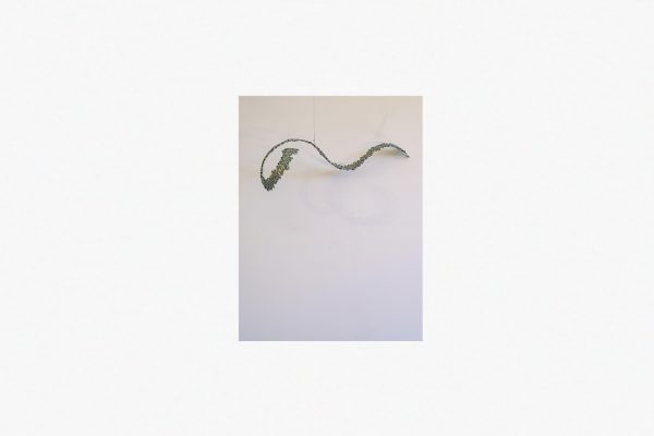 LE SERPENT COSMIQUE 2024